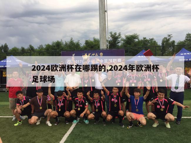 2024欧洲杯在哪踢的,2024年欧洲杯足球场