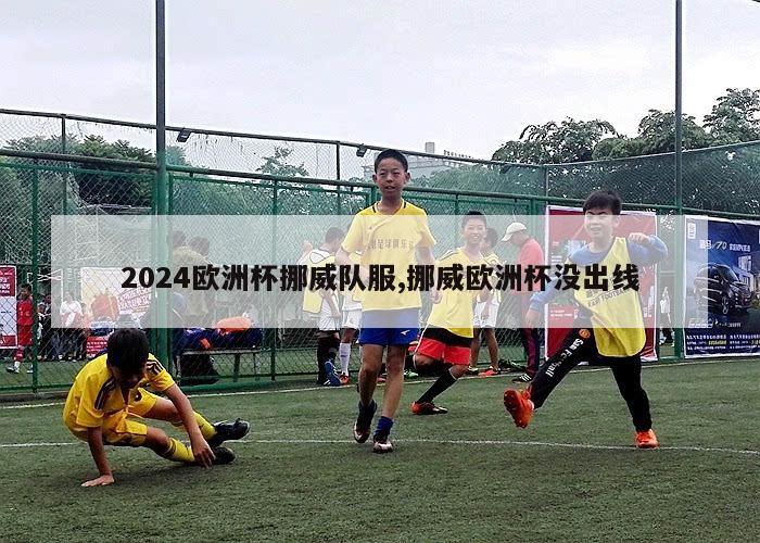 2024欧洲杯挪威队服,挪威欧洲杯没出线