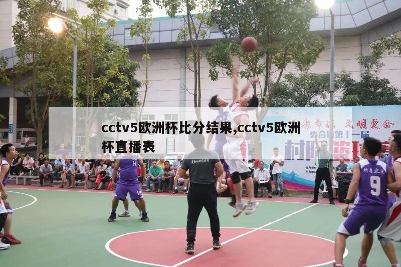 cctv5欧洲杯比分结果,cctv5欧洲杯直播表