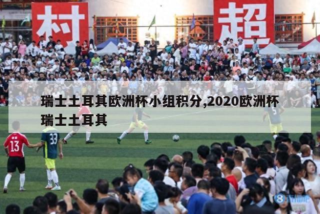 瑞士土耳其欧洲杯小组积分,2020欧洲杯瑞士土耳其